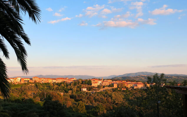 Bellavista - Photo 40