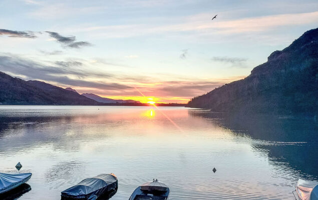 Il Glicine - Photo 34