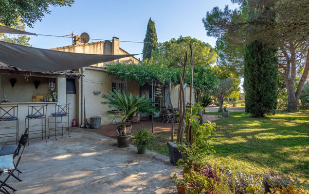 Palmeraie - Photo 19