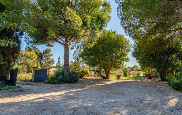 Palmeraie - Photo 22