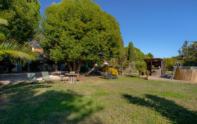 Palmeraie - Photo 26