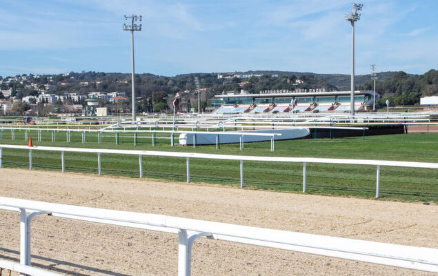 Le Marbeau - Photo 23