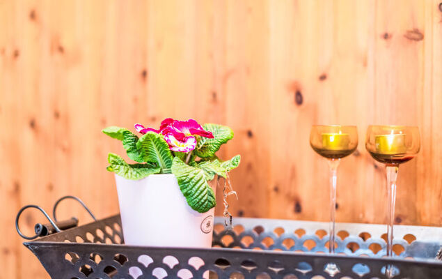 Reinskopf - Photo 10