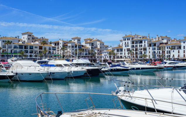 Aldea Hills - Photo 31