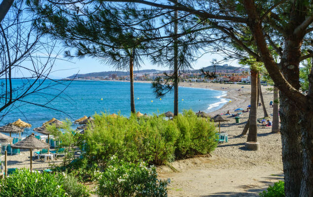 Aldea Hills - Photo 33