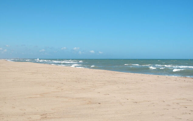 Les Terrasses de la Méditerranée - Photo 22