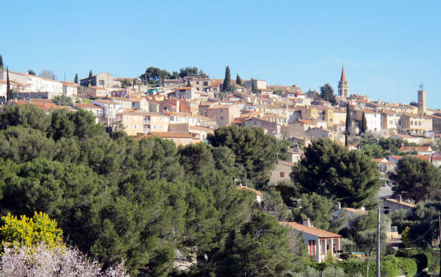 Le Cadiero - Photo 21