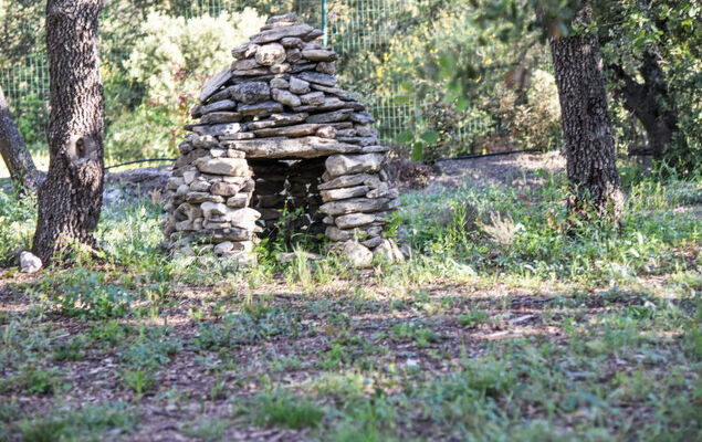 La Chênaie - Photo 47