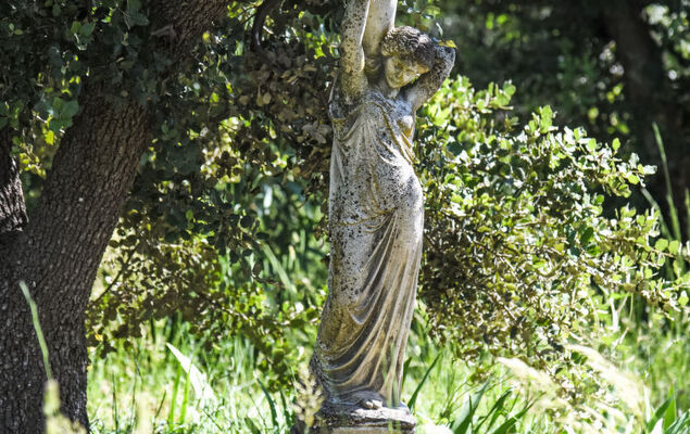 La Chênaie - Photo 50