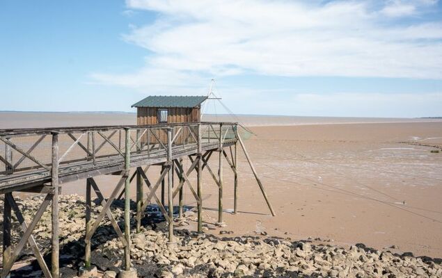 Les Alcyons T2 - Photo 22