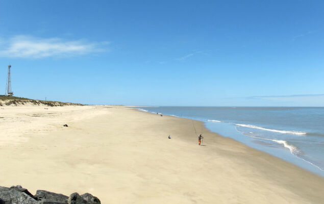 Les Alcyons T2 - Photo 27