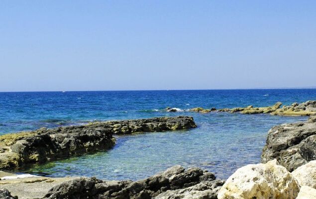 Tanah-Lot - Photo 30